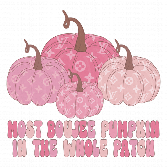 Aspyn Reign Designs _142✨ Single Sheet DTF Transfer ✨ $2