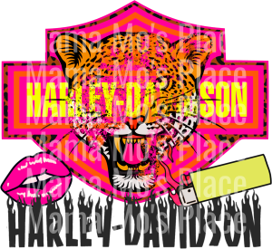 BDCO_249✨ Single Sheet DTF Transfer ✨