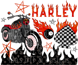 GG_27✨ Single Sheet DTF Transfer ✨