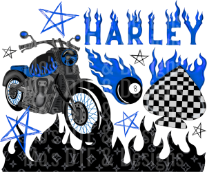 GG_68✨ Single Sheet DTF Transfer ✨
