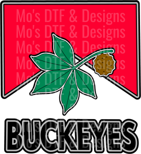BDCO_330✨ Single Sheet DTF Transfer ✨
