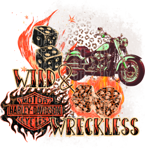 KRD_01✨ Single Sheet DTF Transfer ✨ $2